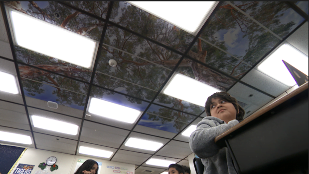 A view of the Nature in the Classroom installation and Octavio, a student in Earnest's fifth grade class.