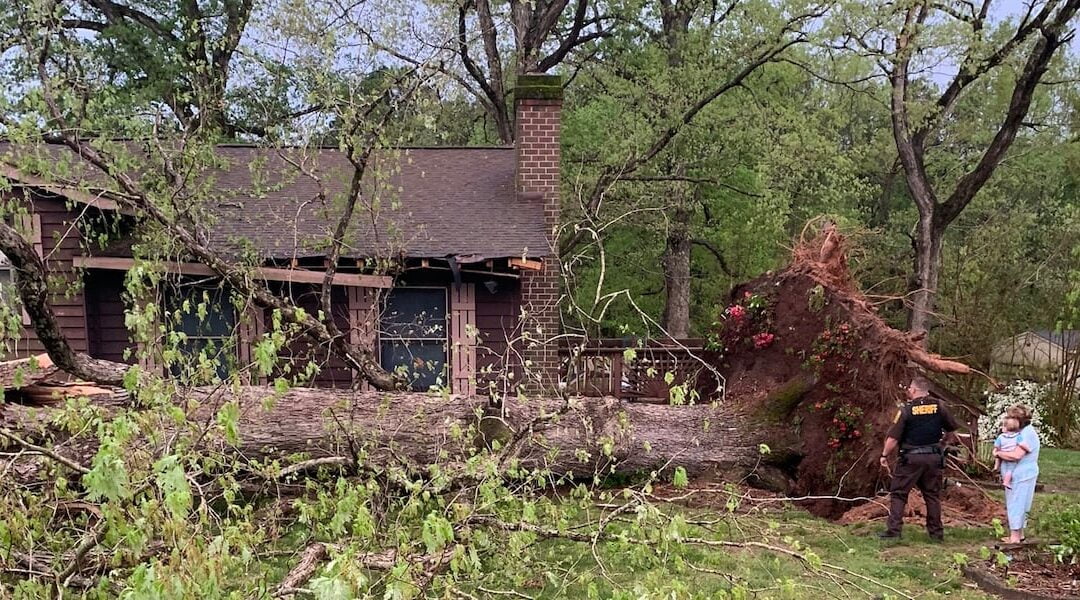 Check for problem trees in your yard before hurricane season arrives | 12 on your side