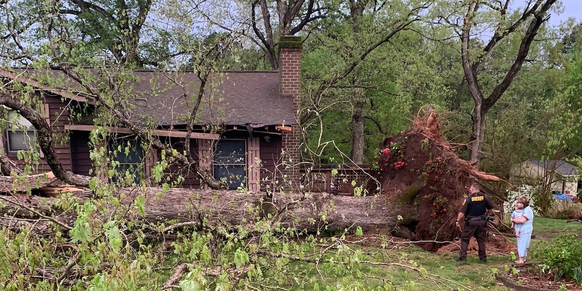 fallen tree on house after hurricane