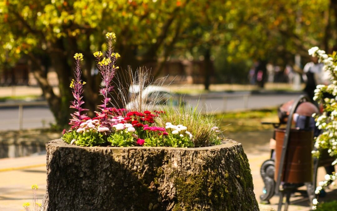 15 Affordable Landscaping Projects You Can DIY in a Day | Bob Vila