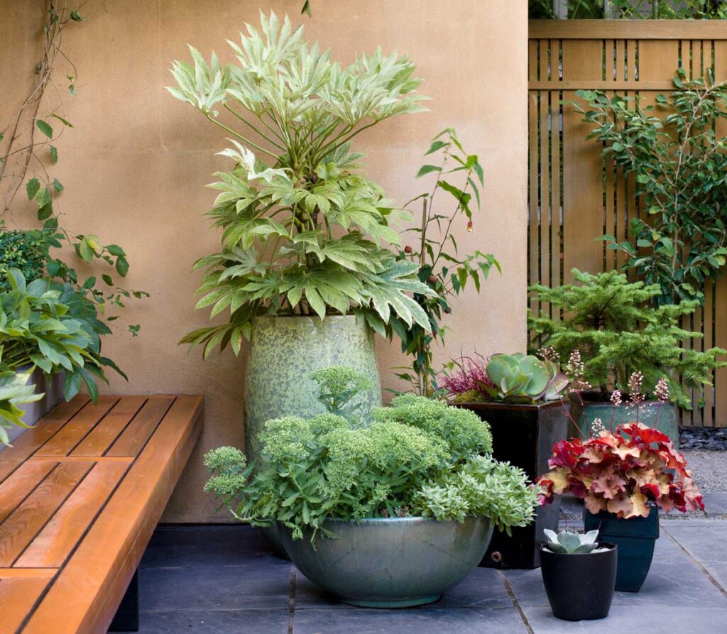 container garden planter