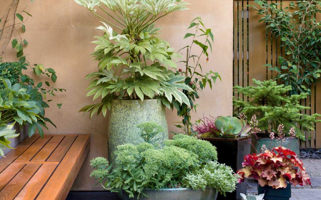 How to Keep Your Potted Plants Watered While You’re on Vacation | Better Homes & Gardens