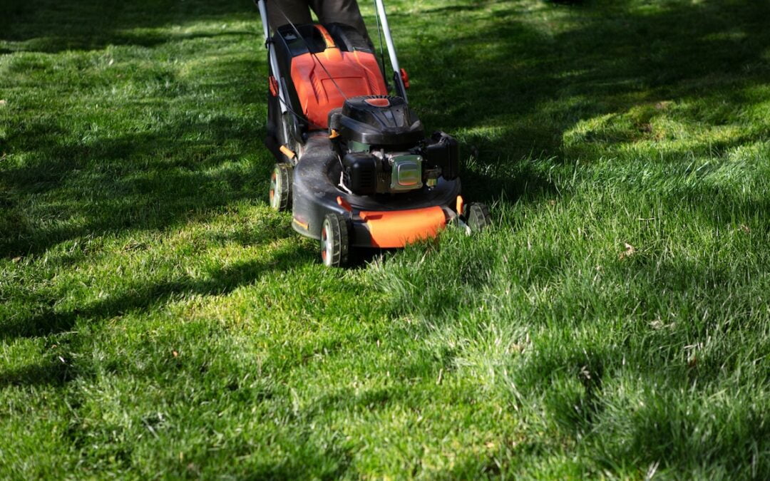 This Is the Correct Grass Cutting Height for Your Lawn, According to Experts | Bob Villa