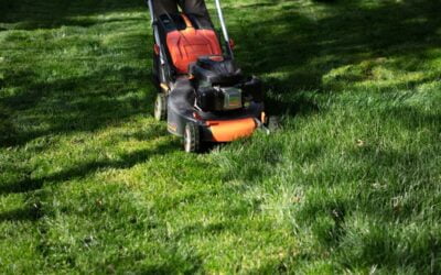 This Is the Correct Grass Cutting Height for Your Lawn, According to Experts | Bob Villa