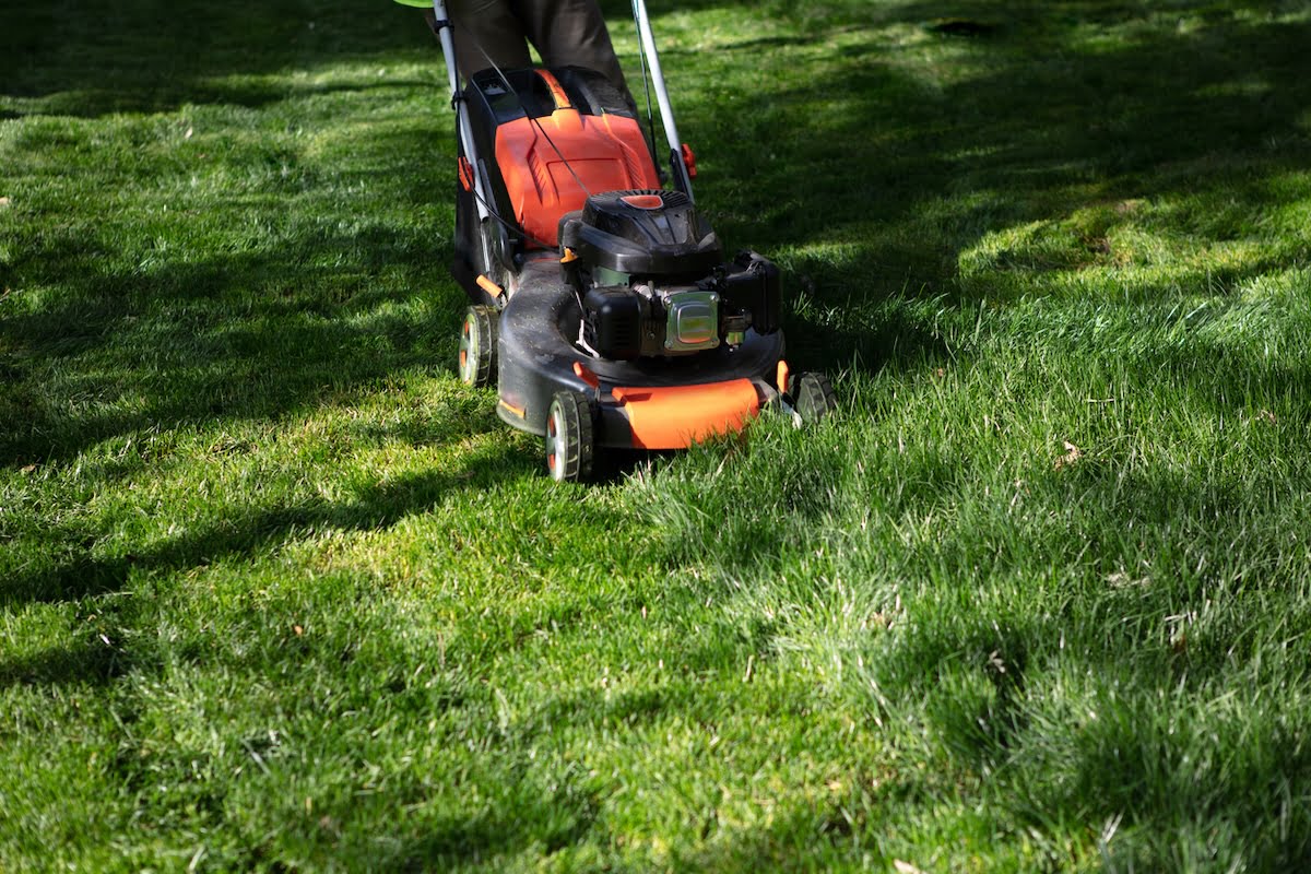 lawnmower mowing lawn