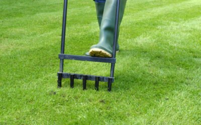 When to Aerate the Lawn: Your Questions, Answered | Bob Vila
