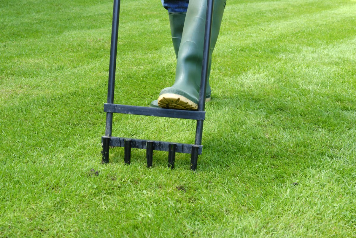 aerating lawn