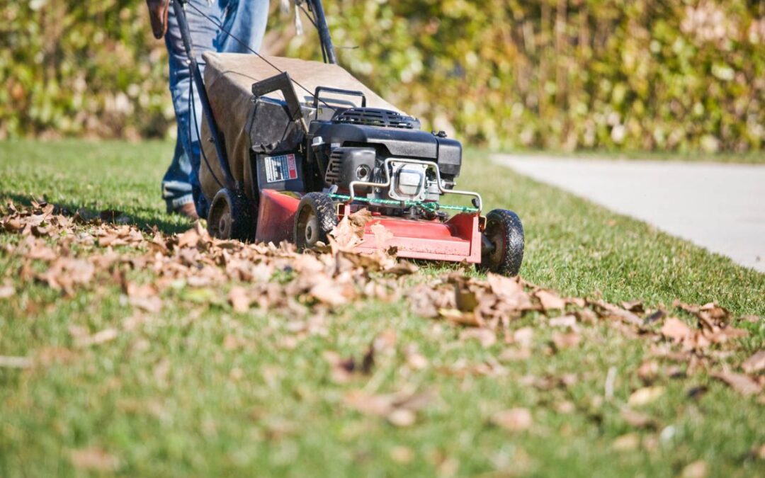 Should You Mulch in the Fall? Experts Weigh In | Bob Vila