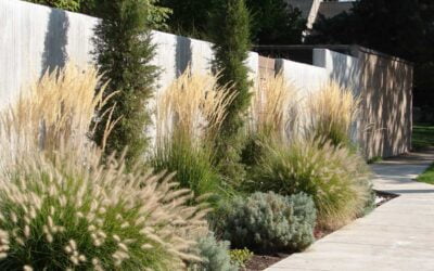 The 22 Best Ornamental Grasses for Adding Drama to Your Property | BobVila.com