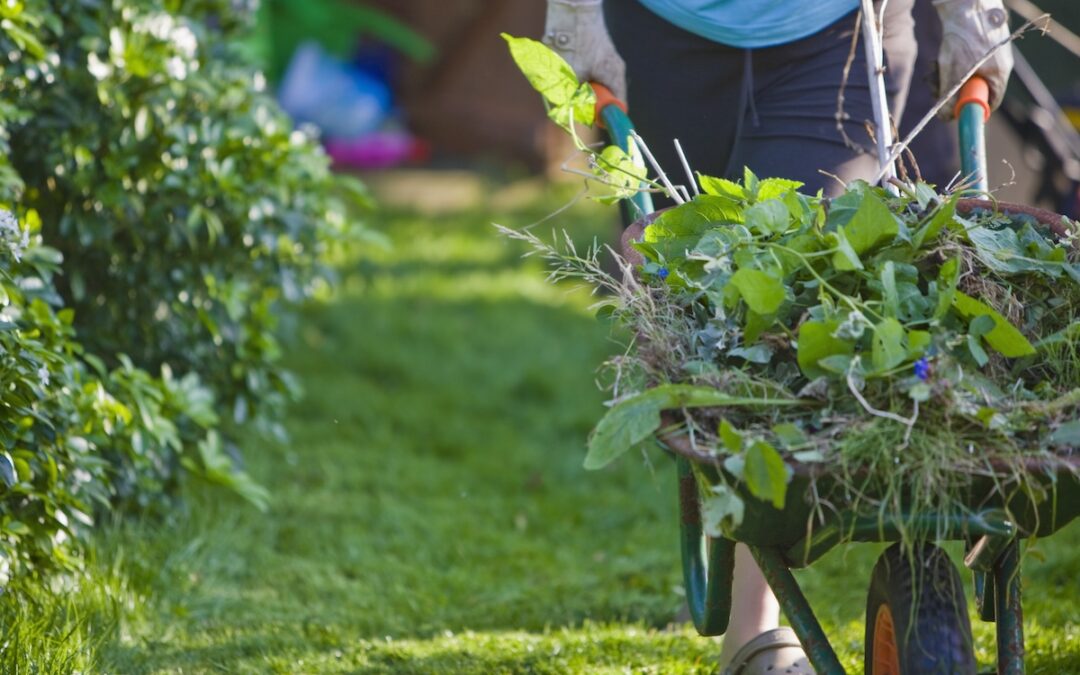 Can You Compost Weeds? Lawn and Garden Experts Weigh In | Bob Vila
