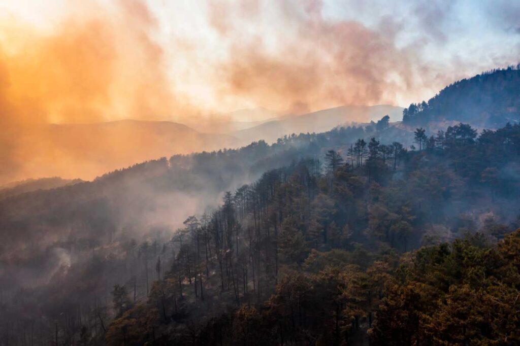 wildfire smoke over trees and mountains