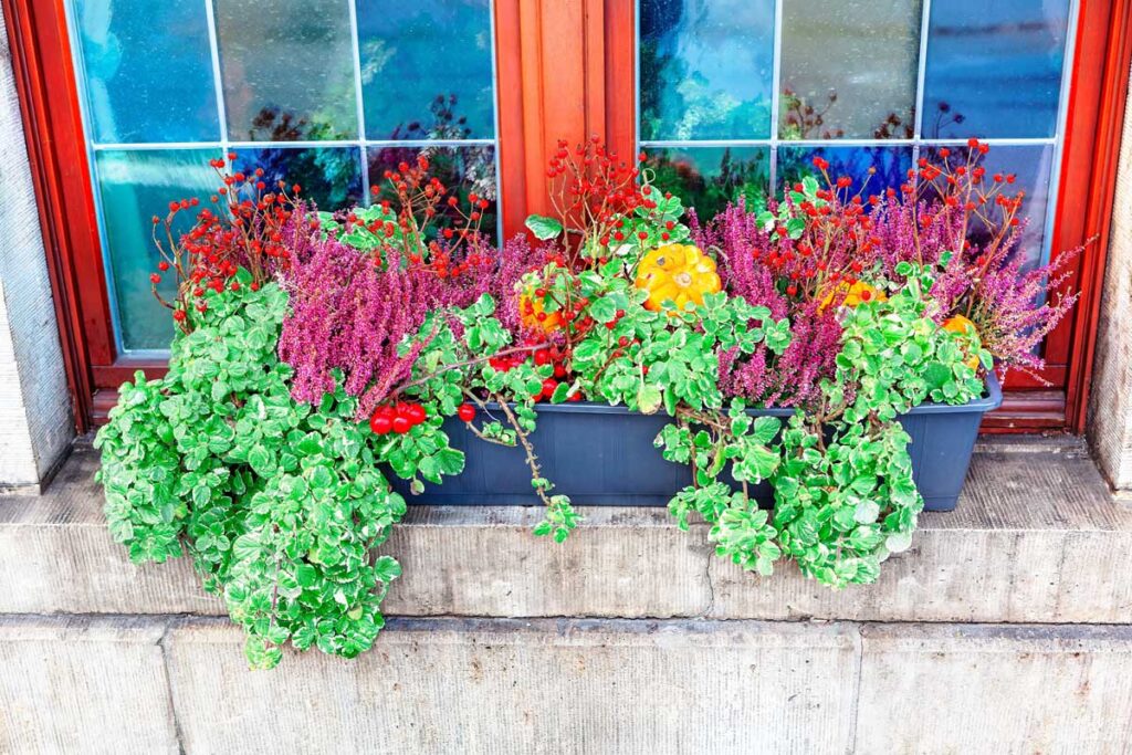 window planter
