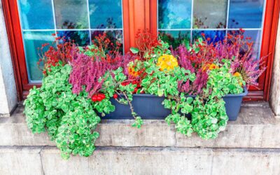 20 Window Box Flowers and Plants for Year-Round Curb Appeal | BobVila.com