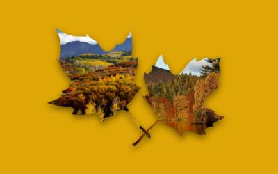 2024 Fall foliage map: When and where to expect autumn colors | USA Today