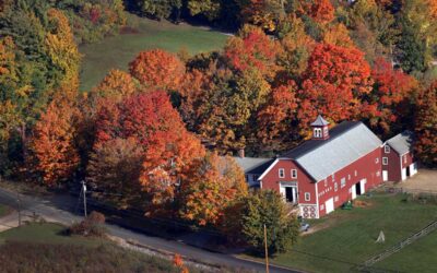 Fall foliage in New England: Where to view in Vermont and Maine | Boston Globe