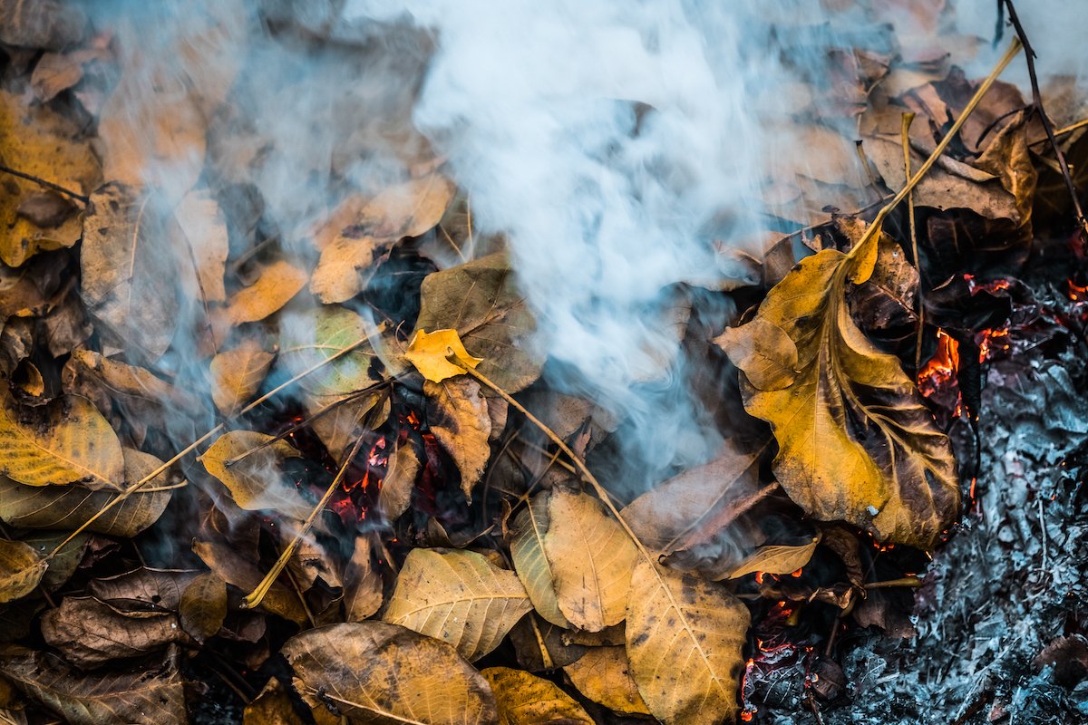 burning leaves smoke