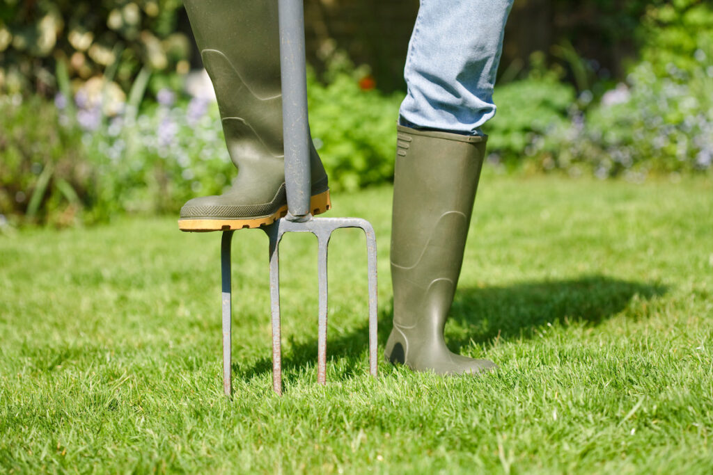 pitchfork to aerate lawn