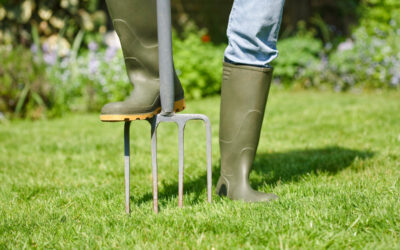 How to Aerate a Lawn: Two Key Methods | Bob Vila