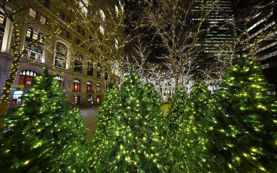Researchers race to climate-proof Christmas tree production: ‘We’re up to the task’ | The Guardian