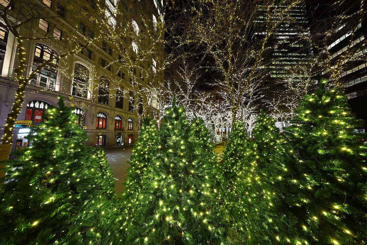 decorated christmas trees in NY city