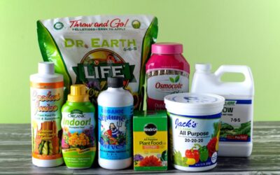 The Best Fertilizer for Indoor Plants, According to Our Tests | Bob Vila