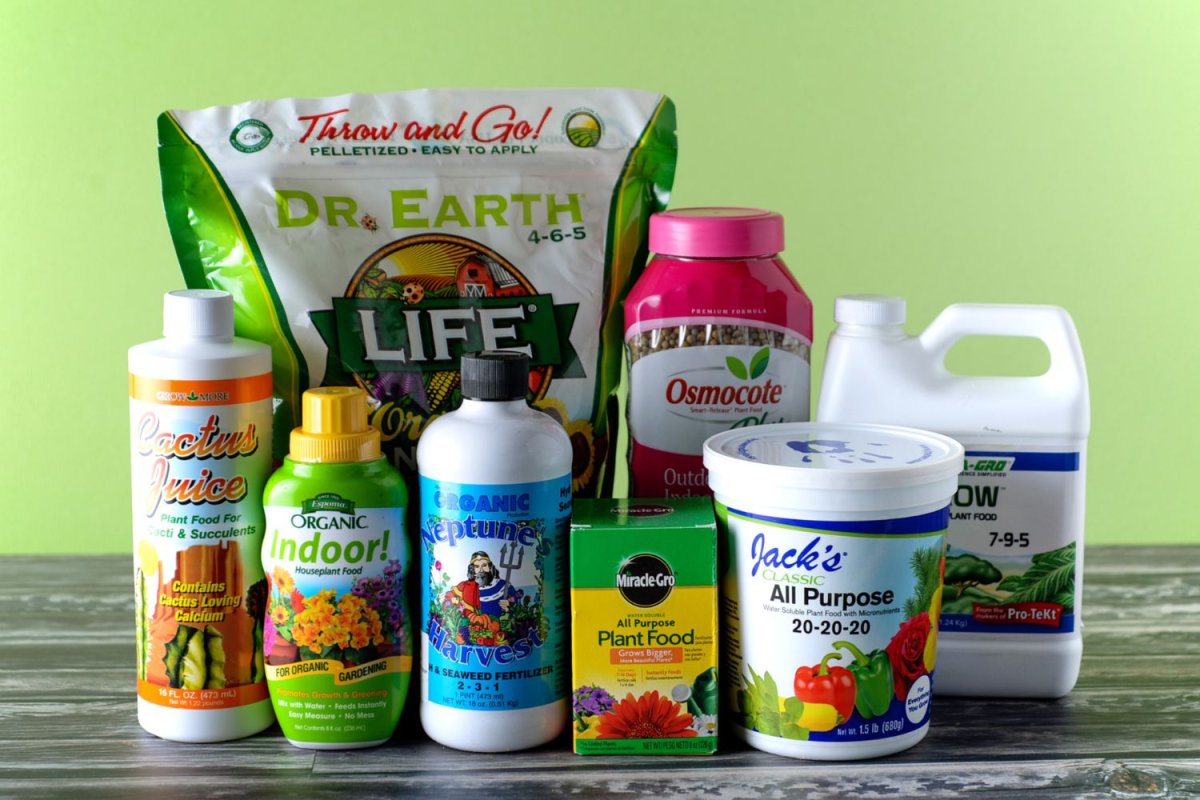 indoor plant fertilizer products