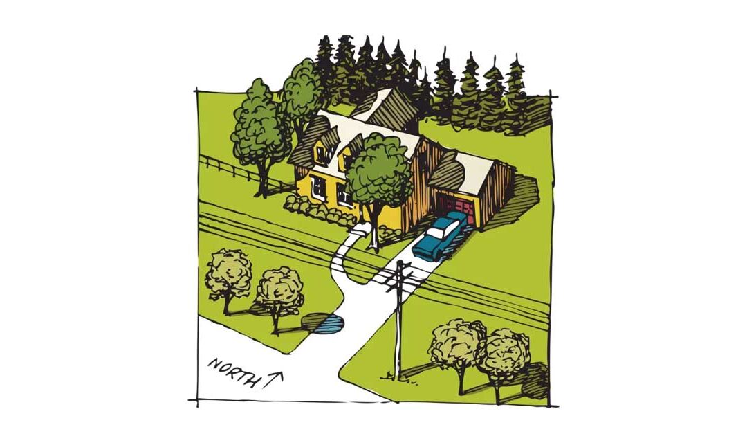 Tree Planning, Selection, and Location | Arbor Day Foundation