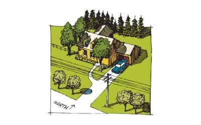 Tree Planning, Selection, and Location | Arbor Day Foundation