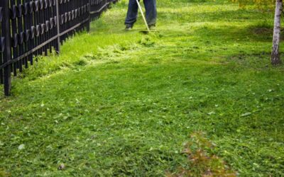 The 3 Biggest DIY Lawn Care Mistakes to Avoid, According to a Lawn Pro | Bob Vila