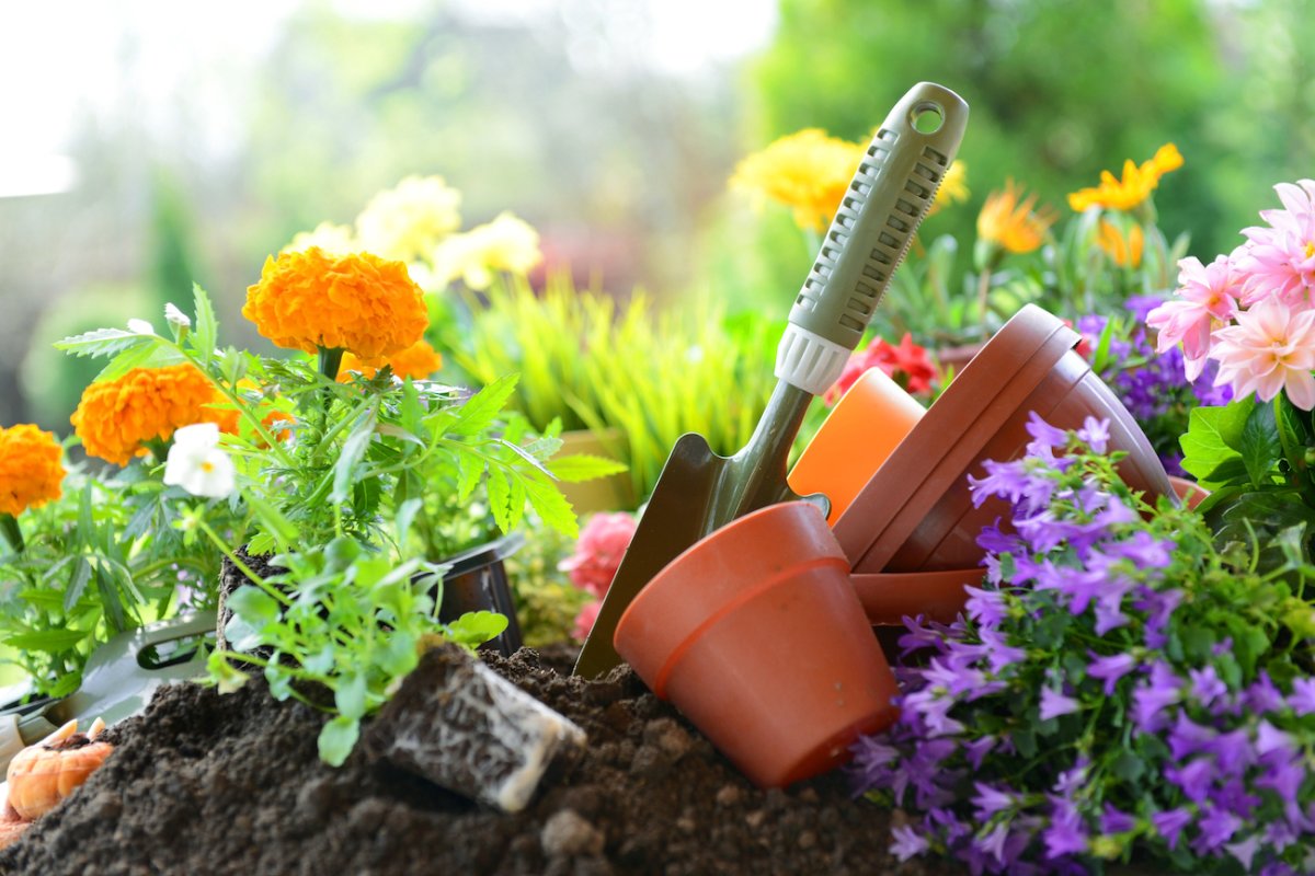 gardening tools