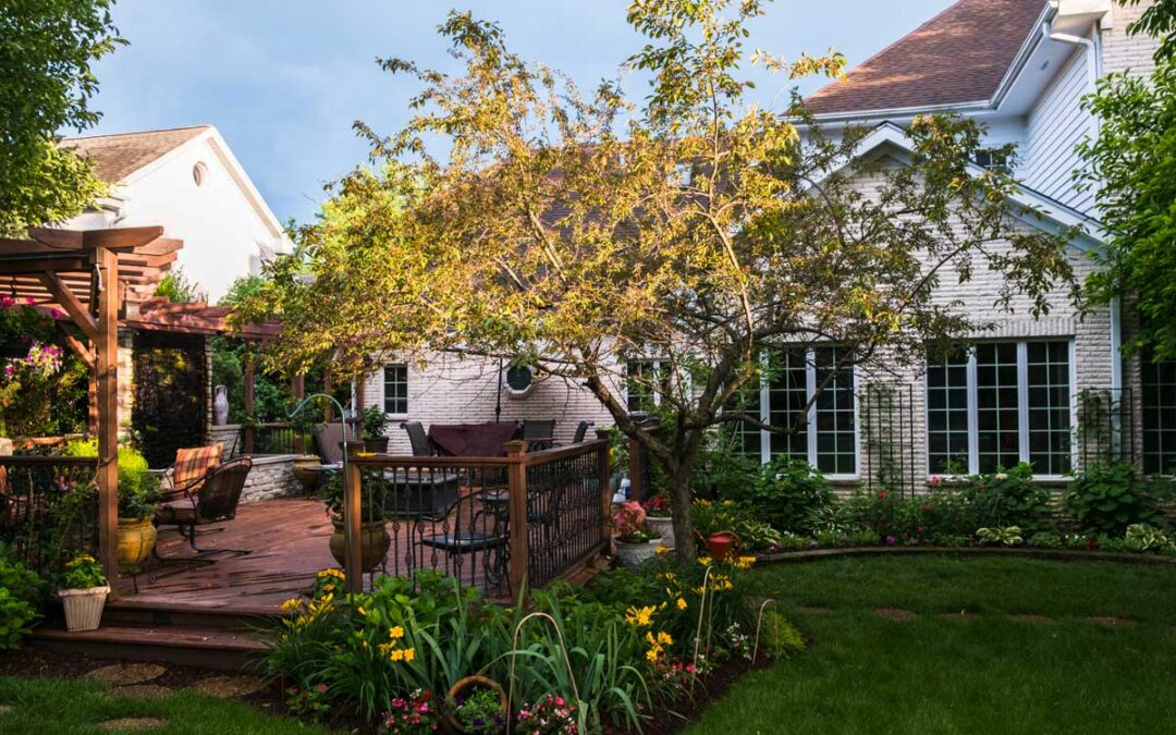 The 20 Best Trees for Backyard Privacy and Shade | Bob Vila