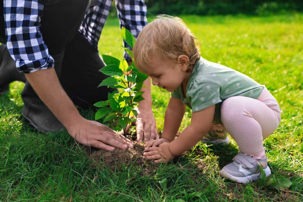 toddler dad planting tree