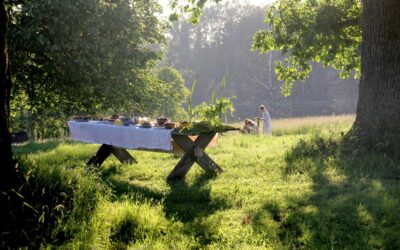 Why the summer solstice is a ‘celestial starting gun’ for trees | Trees and forests | The Guardian