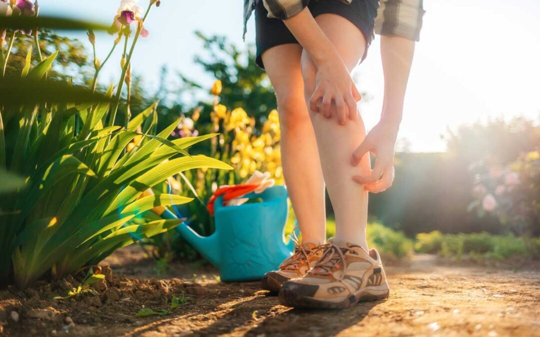 18 Plants That Repel Mosquitoes | Bob Vila