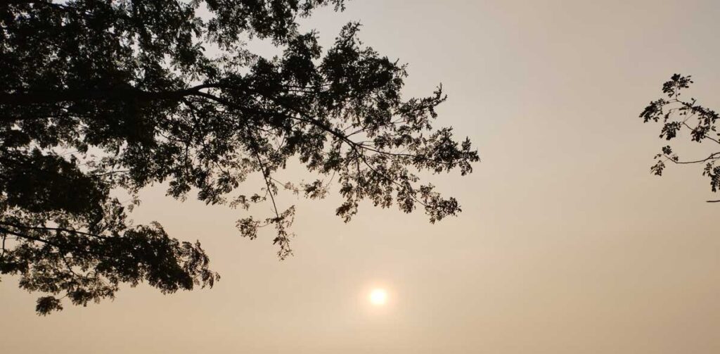 solar eclipse
