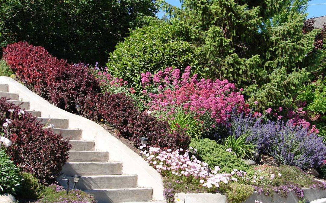 15 Xeriscape Ideas for a Beautiful, Sustainable Yard | Bob Vila
