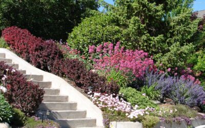 15 Xeriscape Ideas for a Beautiful, Sustainable Yard | Bob Vila