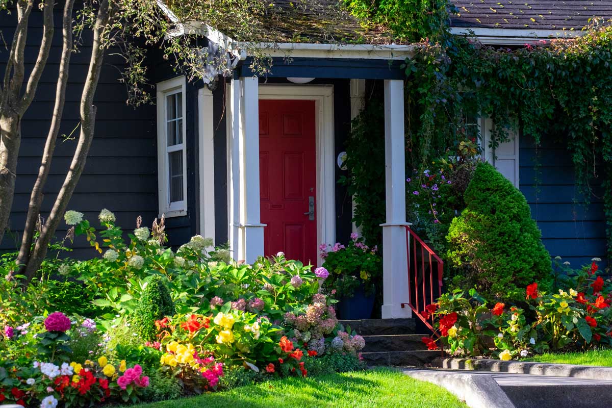 beautiful shrubs in front of front door of nice house