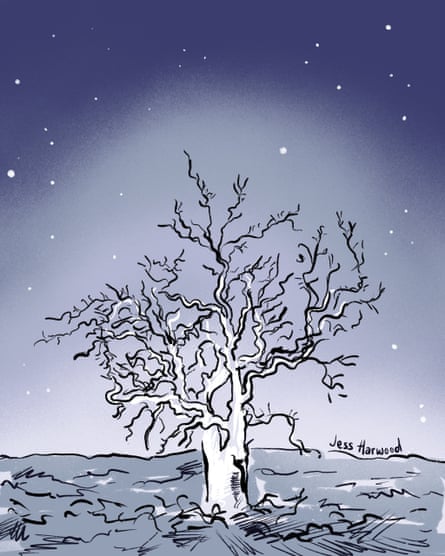spooky gum tree cartoon illustration