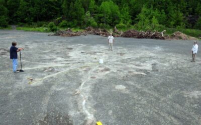 Cairo Fossil Forest: The oldest forest in North America with 385 million-year-old trees | Live Science
