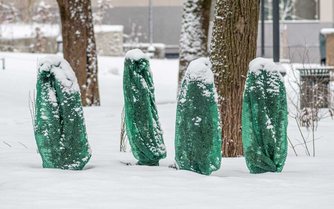 7 Types of Plant Covers That’ll Protect Trees and Shrubs From the Cold | Bob Vila