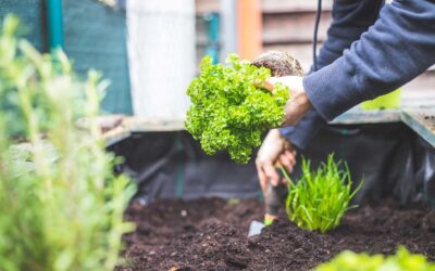 10 Tasks for Closing Down Your Garden for the Season | Bob Vila