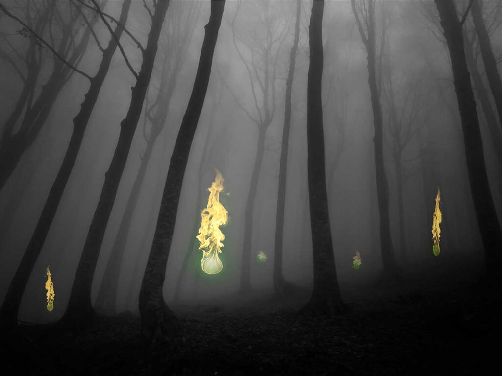 will o wisp