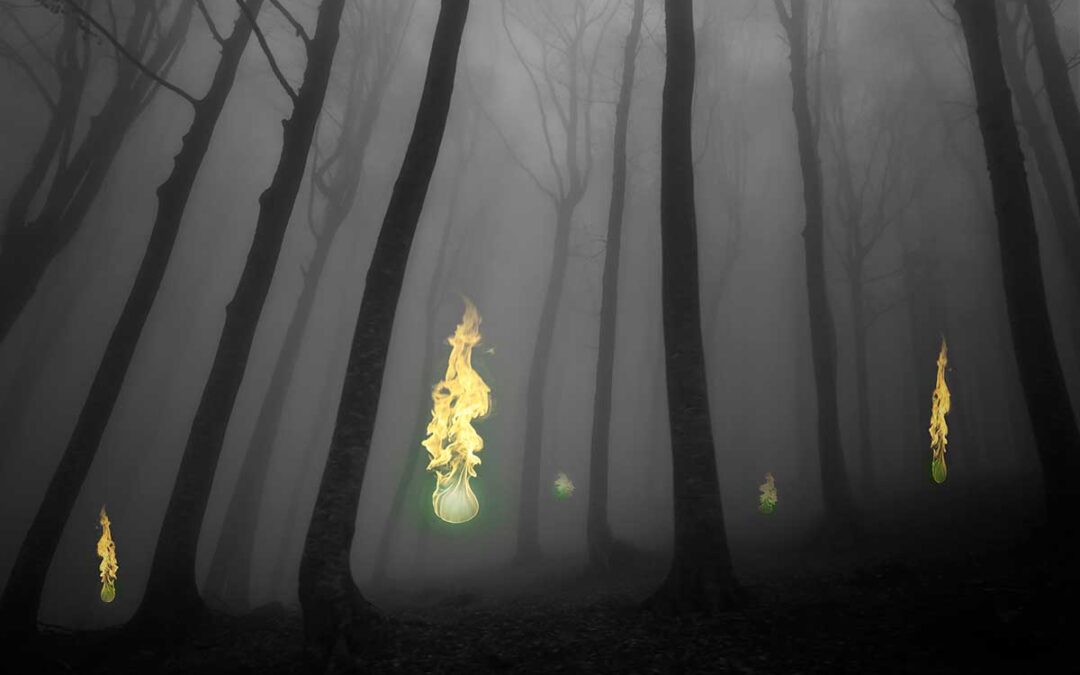 Mysterious, Ghostly Blue Lights Called Will-o-the-Wisp May Just be Methane Bubbles | Discover