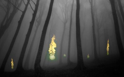 Mysterious, Ghostly Blue Lights Called Will-o-the-Wisp May Just be Methane Bubbles | Discover