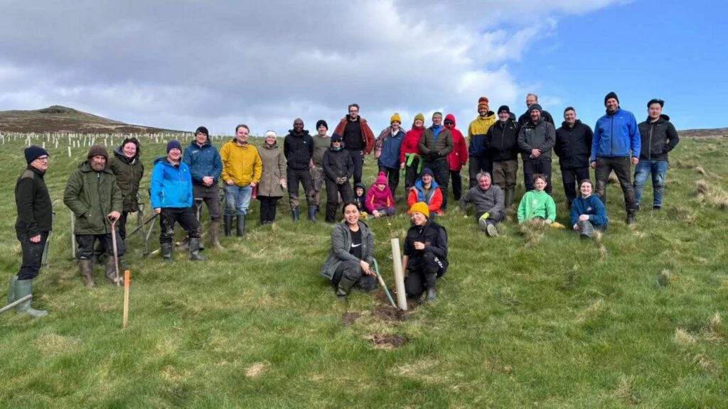 volunteers celebrate tree planting progress