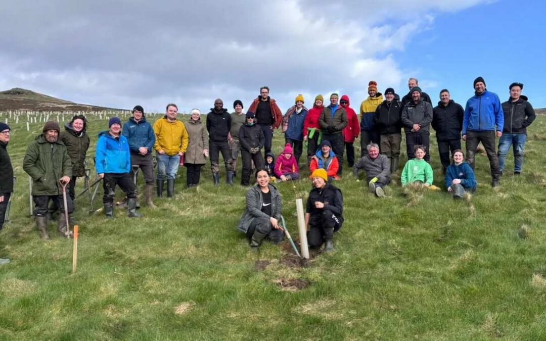 Planting 30,000 Trees Surpasses Goal for Regenerating a Rainforest on the Isle of Man | Good News Network
