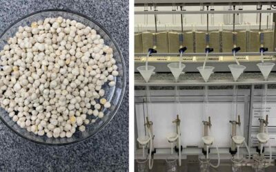 Seeds from ‘Miracle Tree’ Can Filter More Than 98% of Microplastics from Tap Water | Good News Network