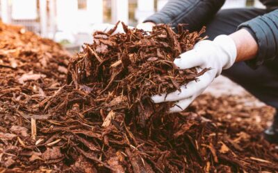 Mulch vs. Compost: What’s the Difference? | Bob Vila