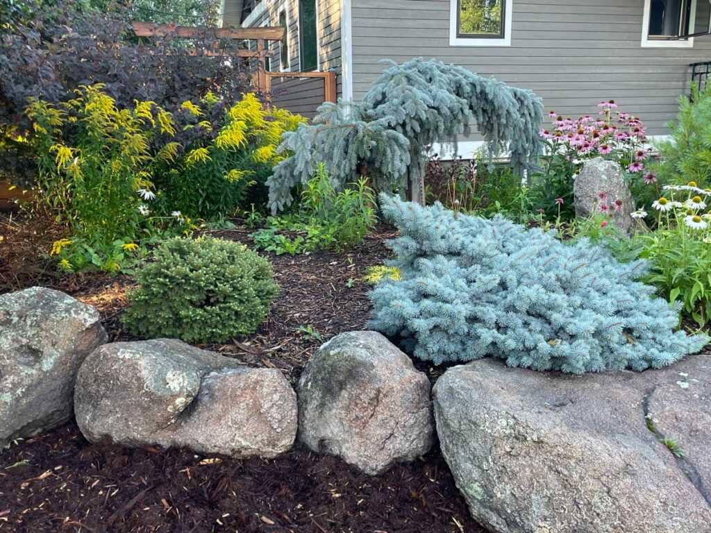 Boulders in the garden as accents, walls or statuary